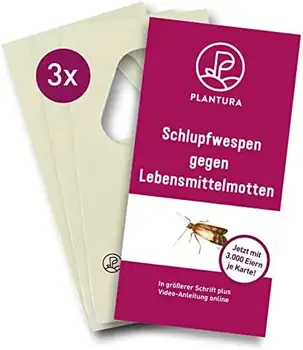 Bild1