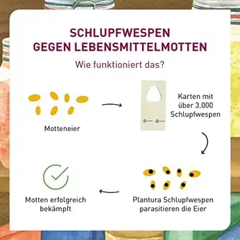 Bild3